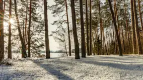 Biwak ekipy Mazury24 nad jeziorem Kruklin, styczeń 2024 r. - zdjęcie 40