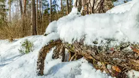 Biwak ekipy Mazury24 nad jeziorem Kruklin, styczeń 2024 r. - zdjęcie 21