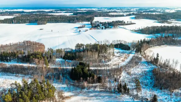 Mix zimowych ujęć z lotu ptaka, styczeń 2024 r. - zdjęcie 8