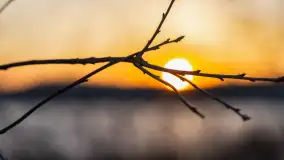 Wschód słońca z resztkami zimy nad jeziorem Siercze, styczeń 2024 r. - zdjęcie 19