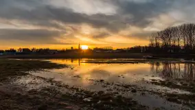 Zachód i rozlewiska przy Karolewie, luty 2024 r. - zdjęcie 33