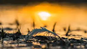 Zachód i rozlewiska przy Karolewie, luty 2024 r. - zdjęcie 20