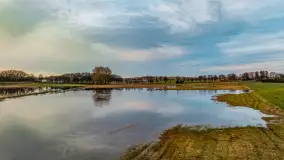 Zachód i rozlewiska przy Karolewie, luty 2024 r. - zdjęcie 17