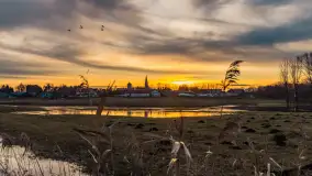 Zachód i rozlewiska przy Karolewie, luty 2024 r. - zdjęcie 35