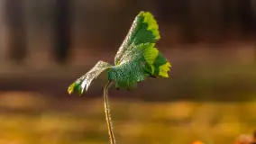 Wschód słońca nad jeziorem Wydmińskim, luty 2024 r. - zdjęcie 25