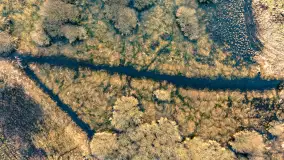 Przedwiośnie i mazurskie rozlewiska na polach i łąkach, luty 2024 r. - zdjęcie 21