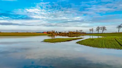 Przedwiośnie i mazurskie rozlewiska na polach i łąkach, luty 2024 r.