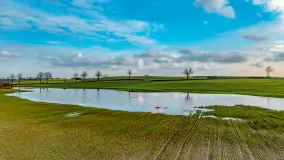 Przedwiośnie i mazurskie rozlewiska na polach i łąkach, luty 2024 r. - zdjęcie 8