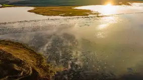 Przedwiośnie i mazurskie rozlewiska na polach i łąkach, luty 2024 r. - zdjęcie 7