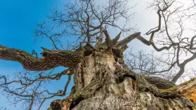 Mgliste Mazury, luty 2024 r. - zdjęcie 6