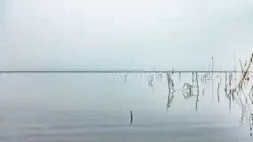 Mgliste Mazury, luty 2024 r. - zdjęcie 12