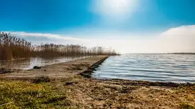 Mgliste Mazury, luty 2024 r. - zdjęcie 16