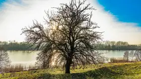 Przed zachodem słońca nad jeziorem Grajewko, luty 2024 r. - zdjęcie 12