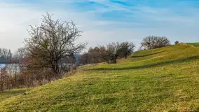 Przed zachodem słońca nad jeziorem Grajewko, luty 2024 r. - zdjęcie 6