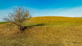 Przed zachodem słońca nad jeziorem Grajewko, luty 2024 r. - zdjęcie 20