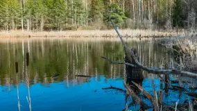 Jezioro Jagoczany, przedwiośnie, marzec 2024 r.  - zdjęcie 13