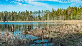 Jezioro Jagoczany, przedwiośnie, marzec 2024 r.  - zdjęcie 1