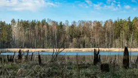 Jezioro Jagoczany, przedwiośnie, marzec 2024 r.  - zdjęcie 29