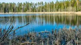 Jezioro Jagoczany, przedwiośnie, marzec 2024 r.  - zdjęcie 19