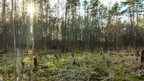 Jezioro Jagoczany, przedwiośnie, marzec 2024 r.  - zdjęcie 15