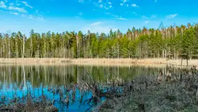 Jezioro Jagoczany, przedwiośnie, marzec 2024 r.  - zdjęcie 21