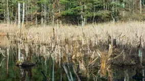 Jezioro Jagoczany, przedwiośnie, marzec 2024 r.  - zdjęcie 28