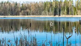 Jezioro Jagoczany, przedwiośnie, marzec 2024 r.  - zdjęcie 38