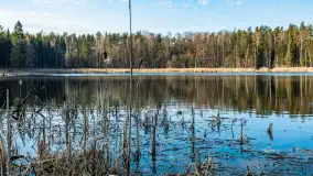 Jezioro Jagoczany, przedwiośnie, marzec 2024 r.  - zdjęcie 31