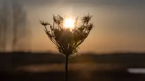 Zachód słońca nad stawami w Martianach, marzec 2024 r. - zdjęcie 34