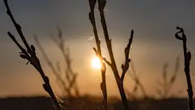 Zachód słońca nad stawami w Martianach, marzec 2024 r. - zdjęcie 11