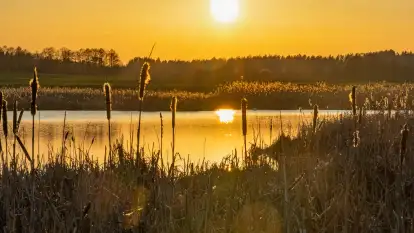 Zachód słońca nad stawami w Martianach, marzec 2024 r.