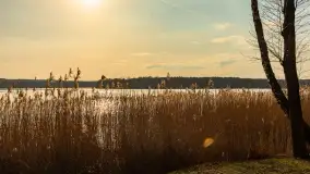 Przedwiośnie w Strandzie w Giżycku, luty 2024 r. - zdjęcie 19
