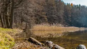 Marcowy dzień nad zatoką Skonał - zdjęcie 17