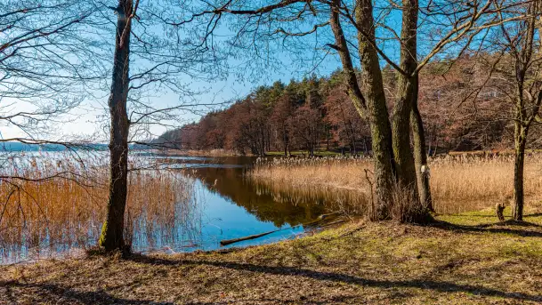 Marcowy dzień nad zatoką Skonał