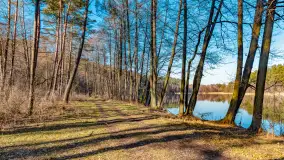 Marcowy dzień nad zatoką Skonał - zdjęcie 3