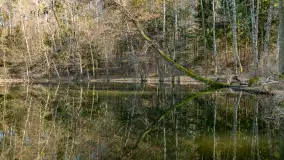 Marcowy dzień nad zatoką Skonał - zdjęcie 63
