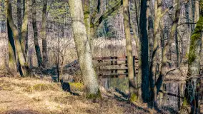 Marcowy dzień nad zatoką Skonał - zdjęcie 54