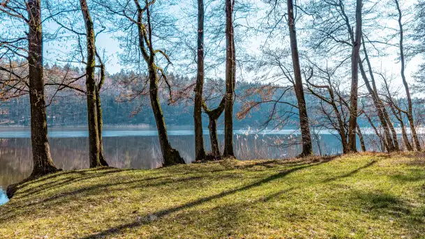Marcowy dzień nad zatoką Skonał - zdjęcie 8