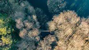 Marcowy dzień nad zatoką Skonał - zdjęcie 20