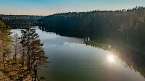 Marcowy dzień nad zatoką Skonał - zdjęcie 45