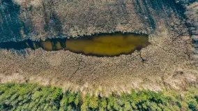 Marcowy dzień nad zatoką Skonał - zdjęcie 59
