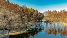 Marcowy dzień nad zatoką Skonał - zdjęcie 50