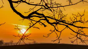 Zachód słońca nad Mazurskimi polami, Wopławki, marzec 2024 r. - zdjęcie 18