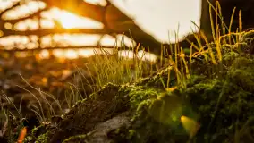 Zachód słońca nad Mazurskimi polami, Wopławki, marzec 2024 r. - zdjęcie 6