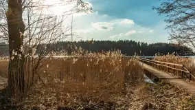 Jezioro Czarna Kuta i okolice, początek marca 2024 r. - zdjęcie 21