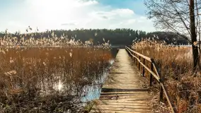 Jezioro Czarna Kuta i okolice, początek marca 2024 r. - zdjęcie 1