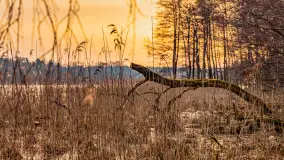 Wschód słońca nad jeziorem Kisajno, port AWF - zdjęcie 5