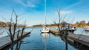 Port w Wierzbie u progu sezonu 2024 - zdjęcie 31