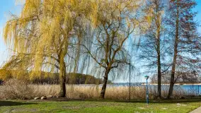 Port w Wierzbie u progu sezonu 2024 - zdjęcie 24