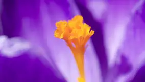 Mamy dowody na rozkwit wiosny na Mazurach, końcówka marca 2024 r. - zdjęcie 28